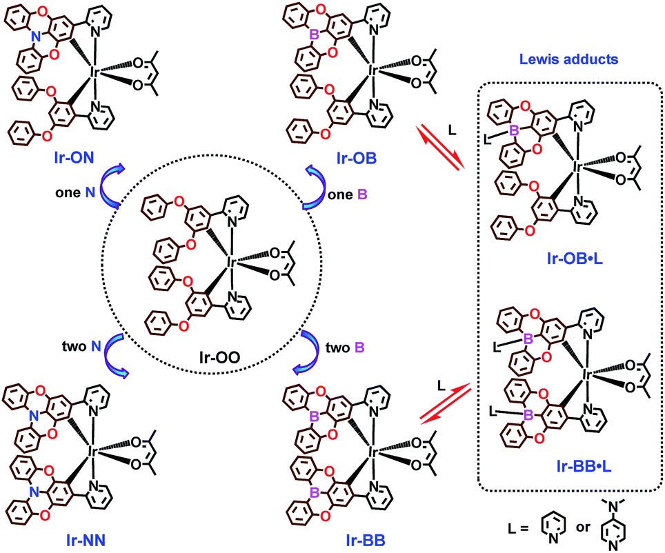 B- and N-embedded color-tunable phosphorescent iridium complexes and B ...