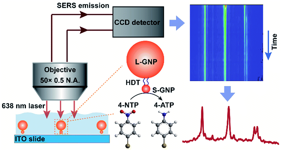 Direct SERS tracking of a chemical reaction at a single 13 nm gold ...