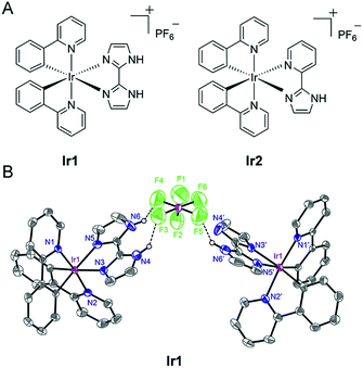 Inhibition of autophagic flux by cyclometalated iridium( iii ...