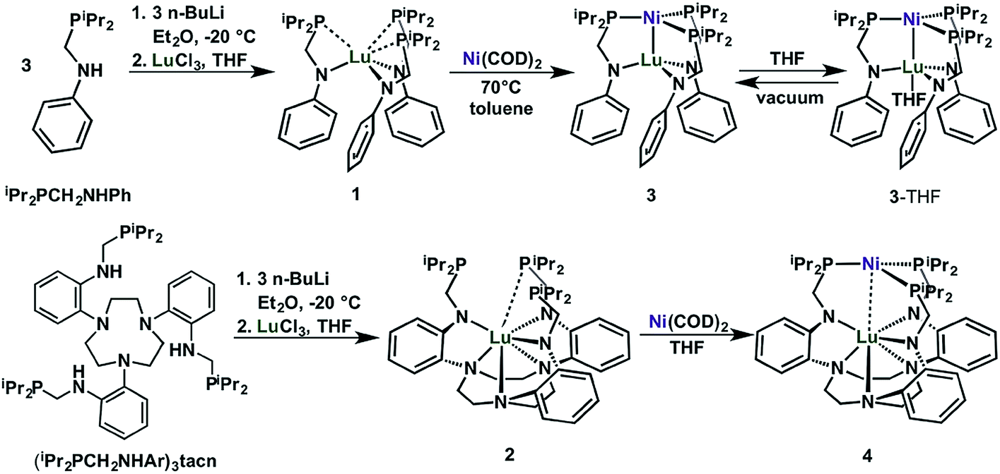 Bimetallic Nickel Lutetium Complexes Tuning The Properties And Catalytic Hydrogenation Activity Of The Ni Site By Varying The Lu Coordination Environment Chemical Science Rsc Publishing