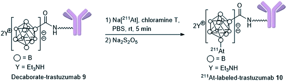 211 At-labeled immunoconjugate via a one-pot three-component double ...