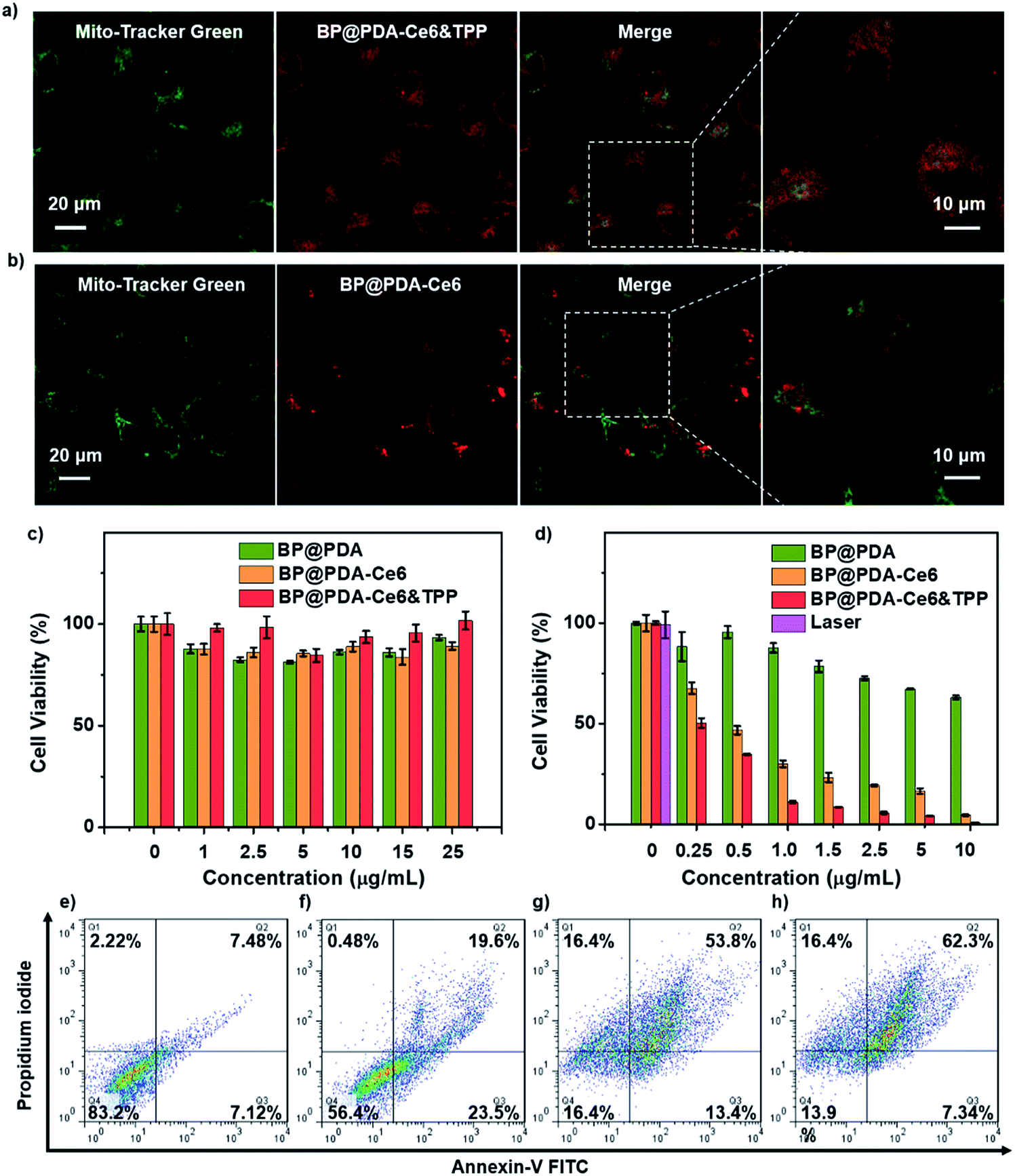 Functional black phosphorus nanosheets for mitochondria targeting