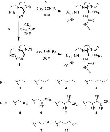 Fluorinated synthetic anion carriers: experimental and computational ...