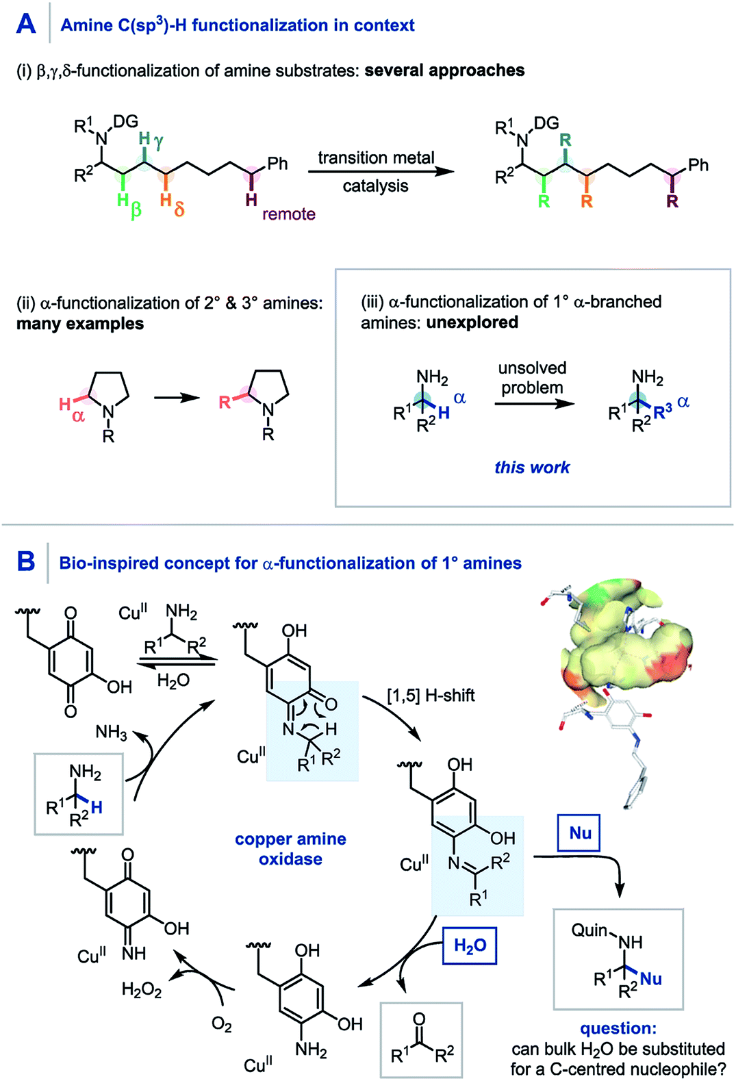 Primary α-tertiary amine synthesis via α-C–H functionalization ...