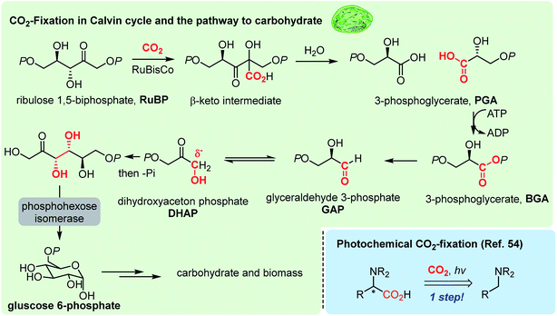 Toward ideal carbon dioxide functionalization - Chemical Science (RSC ...