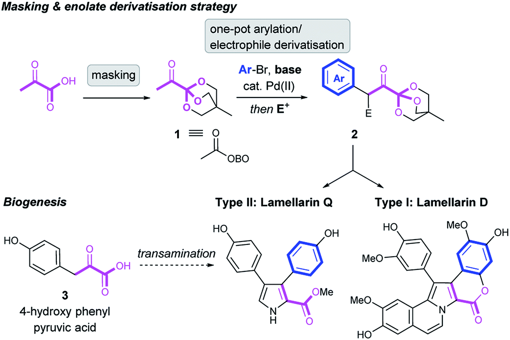 Synthesis of lamellarin alkaloids using orthoester-masked \u03b1-keto acids ...