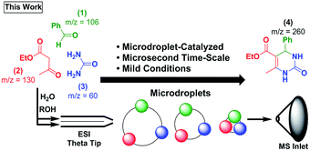 A microdroplet-accelerated Biginelli reaction: mechanisms and ...