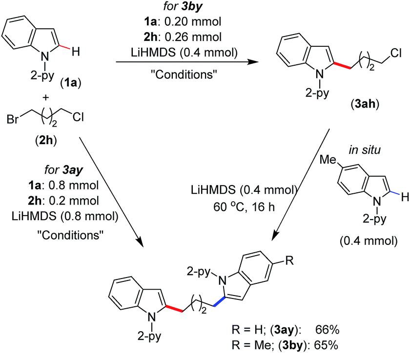 Nickel Catalyzed Ch Alkylation Of Indoles With Unactivated Alkyl