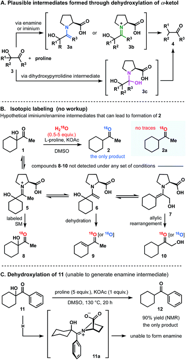 Proline-promoted dehydroxylation of \u03b1-ketols - Chemical Science (RSC ...