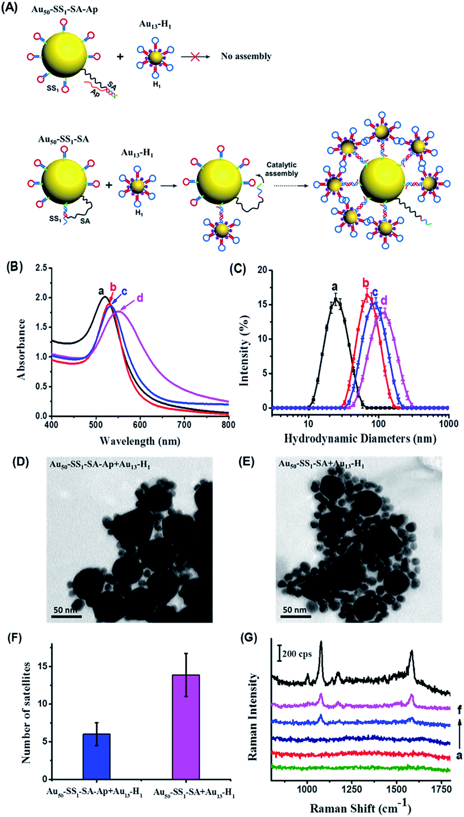 Dynamic colloidal nanoparticle assembly triggered by aptamer–receptor ...