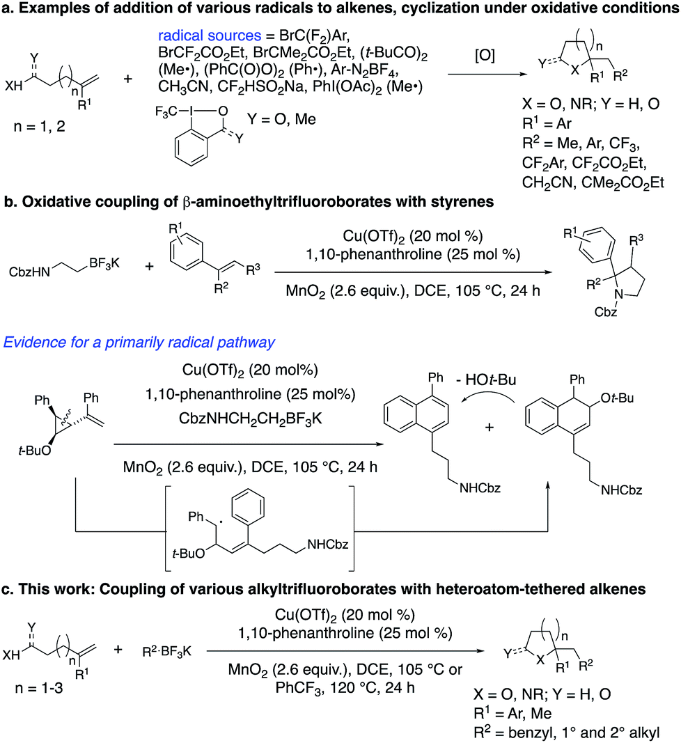 Saturated Oxygen And Nitrogen Heterocycles Via Oxidative Coupling Of Alkyltrifluoroborates With Alkenols Alkenoic Acids And Protected Alkenylamines Chemical Science Rsc Publishing