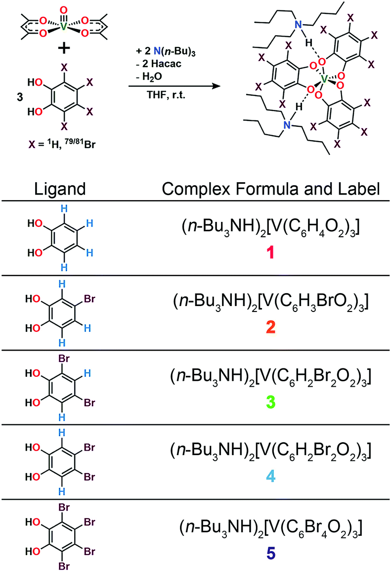 Nuclear Spin Pattern Control Of Electron Spin Dynamics In A Series Of V Iv Complexes Chemical Science Rsc Publishing