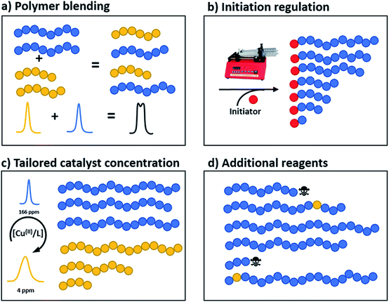 Tailoring Polymer Dispersity And Shape Of Molecular Weight ...