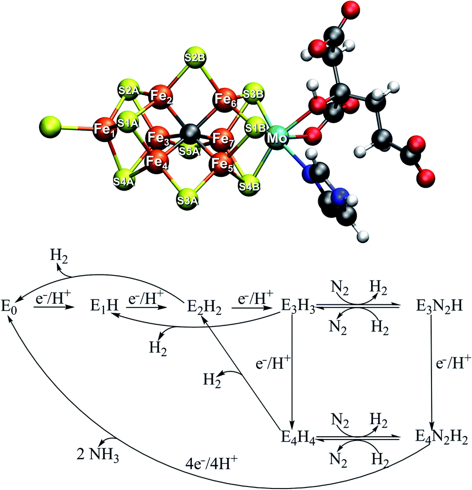 A Model For Dinitrogen Binding In The E4 State Of Nitrogenase Chemical Science Rsc Publishing