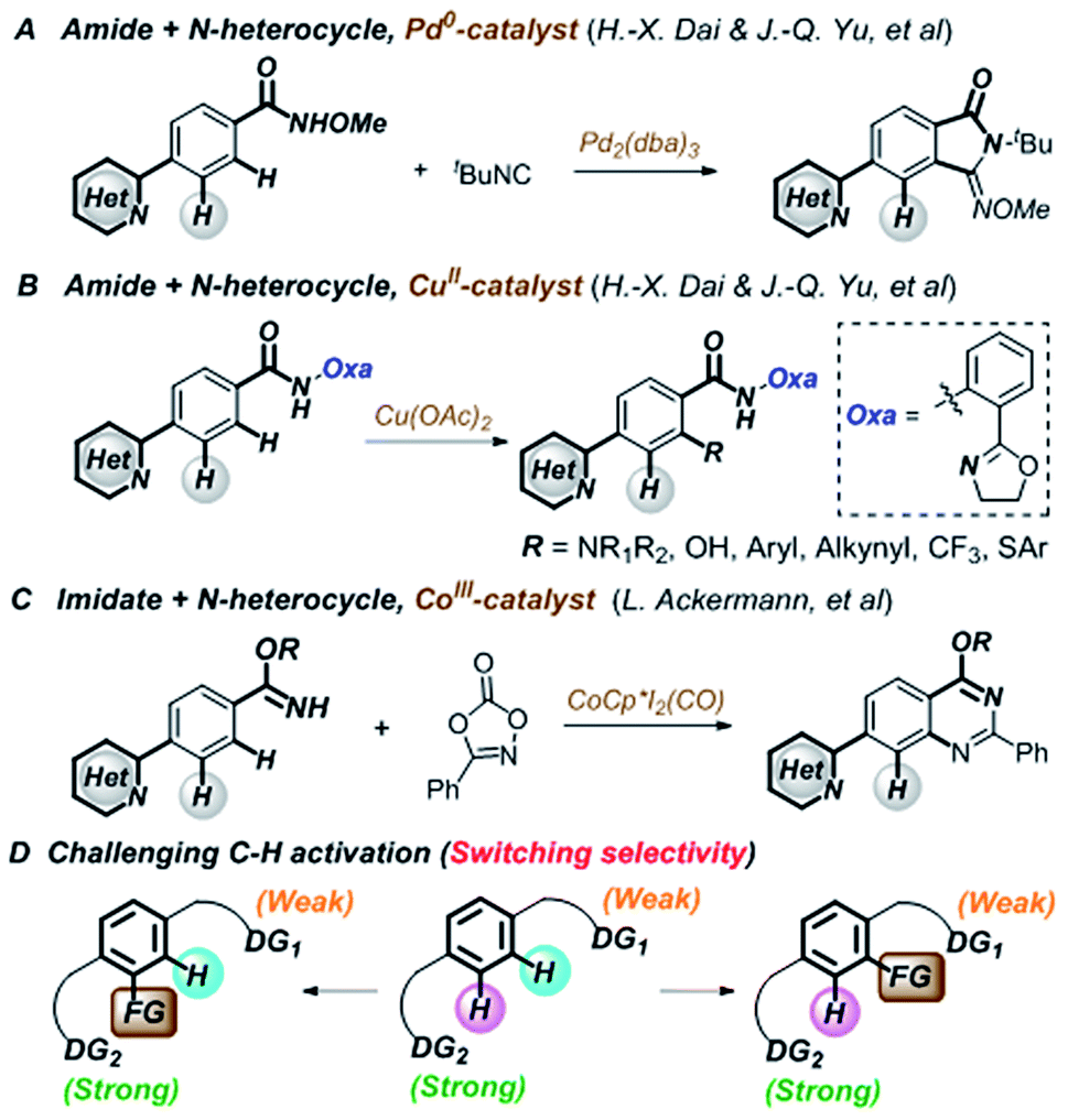 Switching The Site Selectivity Of C H Activation In Aryl Sulfonamides Containing Strongly Coordinating N Heterocycles Chemical Science Rsc Publishing