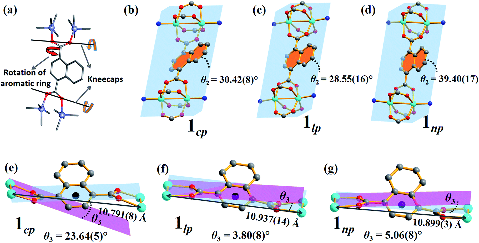 CO 2 -induced single-crystal to single-crystal transformations of an