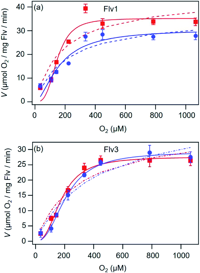 The Oxygen Reduction Reaction Catalyzed By Synechocystis Sp Pcc 6803 Flavodiiron Proteins Sustainable Energy Fuels Rsc Publishing
