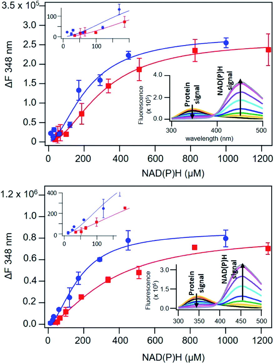 The Oxygen Reduction Reaction Catalyzed By Synechocystis Sp Pcc 6803 Flavodiiron Proteins Sustainable Energy Fuels Rsc Publishing