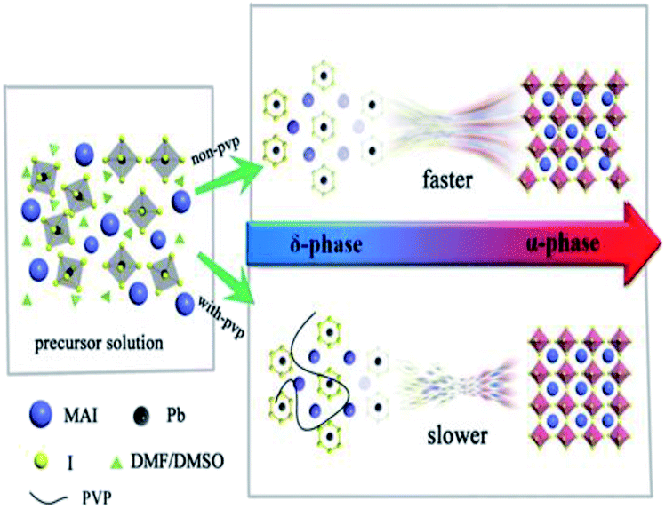 Enhanced Perovskite Crystallization By The Polyvinylpyrrolidone Additive For High Efficiency Solar Cells Sustainable Energy Fuels Rsc Publishing