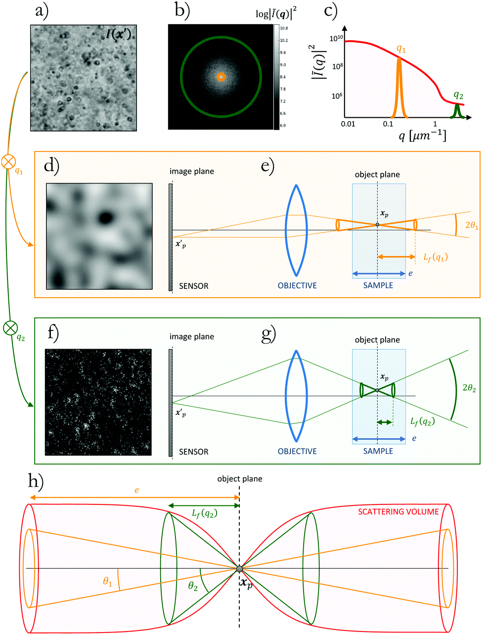 Probing Shear Induced Rearrangements In Fourier Space Ii Differential Dynamic Microscopy Soft Matter Rsc Publishing