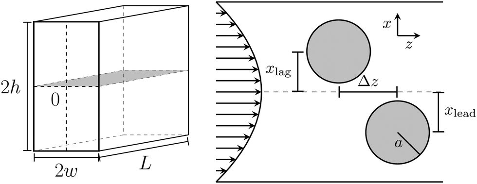 A flowing pair of particles in inertial microfluidics - Soft Matter ...