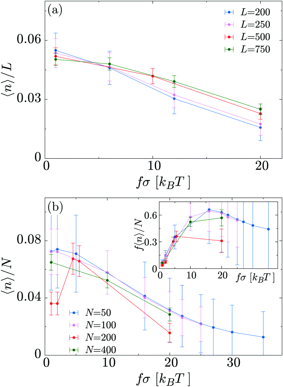 Non Equilibrium Effects Of Molecular Motors On Polymers Soft Matter Rsc Publishing