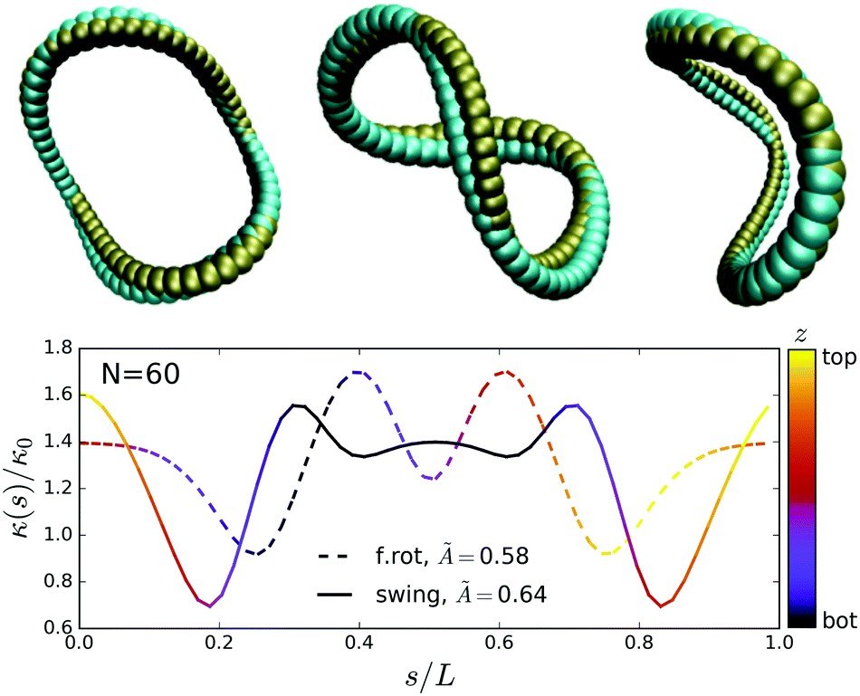 Stokesian Dynamics Of Sedimenting Elastic Rings Soft Matter Rsc Publishing