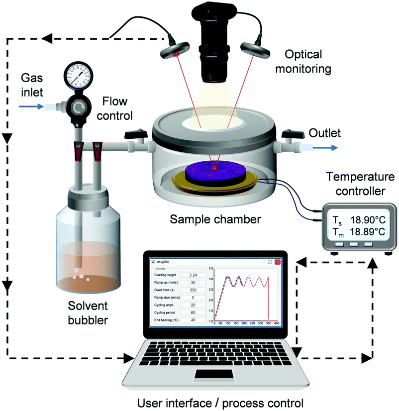 Automated solvent vapor annealing with nanometer scale control of film