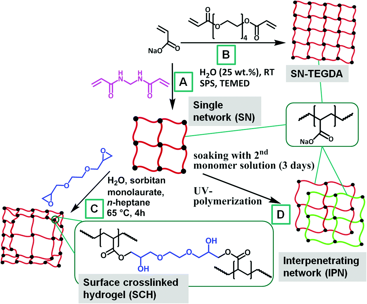 Poly(sodium acrylate) hydrogels: synthesis of various network