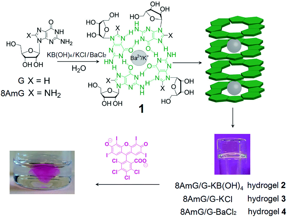 Hydrogels For Anion Removal From Water Journal Of Materials Chemistry A Rsc Publishing