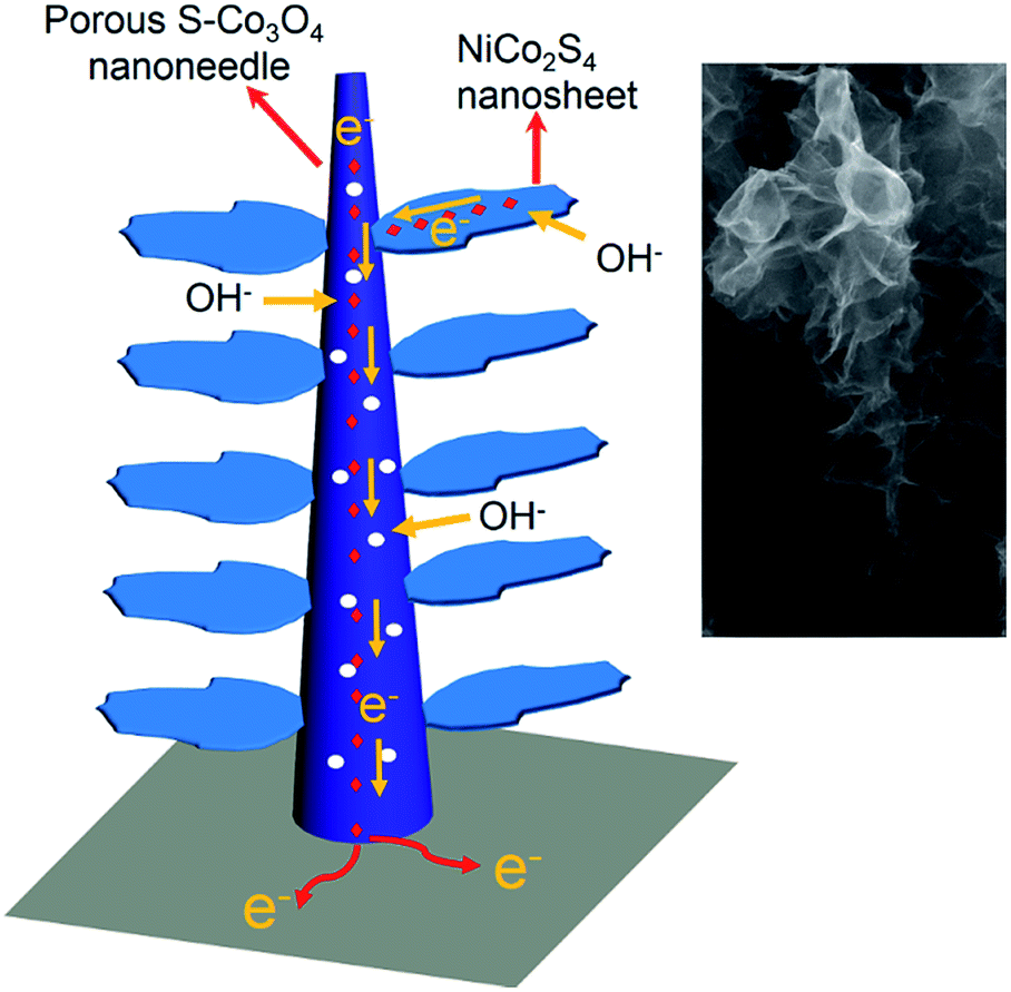 Hierarchical Electrodes Of Nico2s4 Nanosheets Anchored Sulfur Doped Co3o4 Nanoneedles With Advanced Performance For Battery Supercapacitor Hybrid Devices Journal Of Materials Chemistry A Rsc Publishing