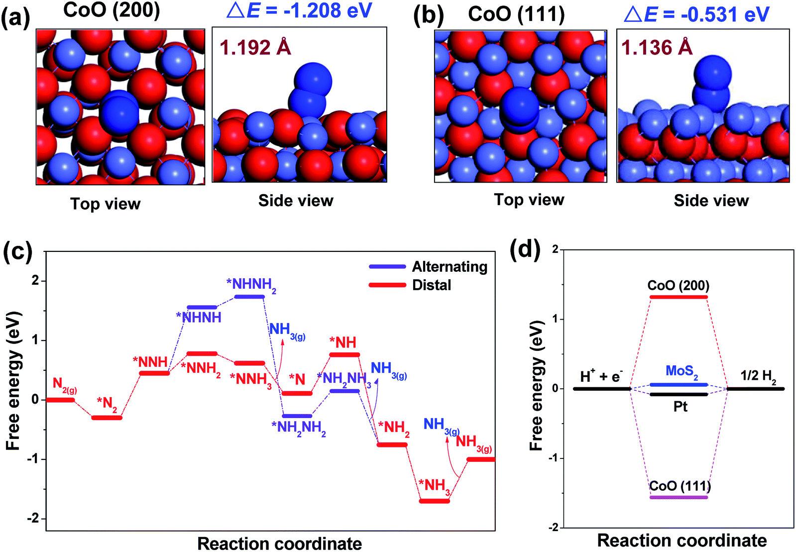 Efficient Electrocatalytic N2 Reduction On Coo Quantum Dots Journal Of Materials Chemistry A Rsc Publishing