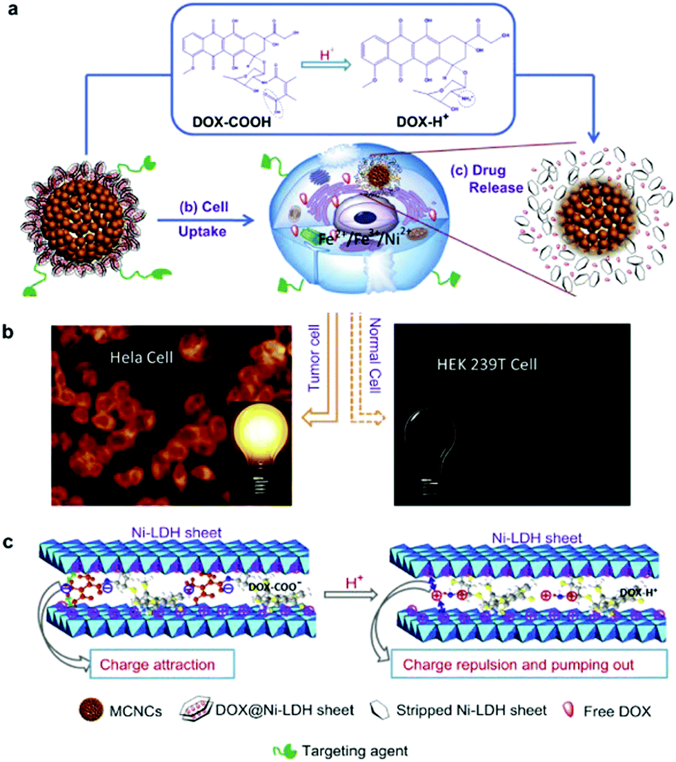 Layered Double Hydroxide Nanostructures And Nanocomposites For ...