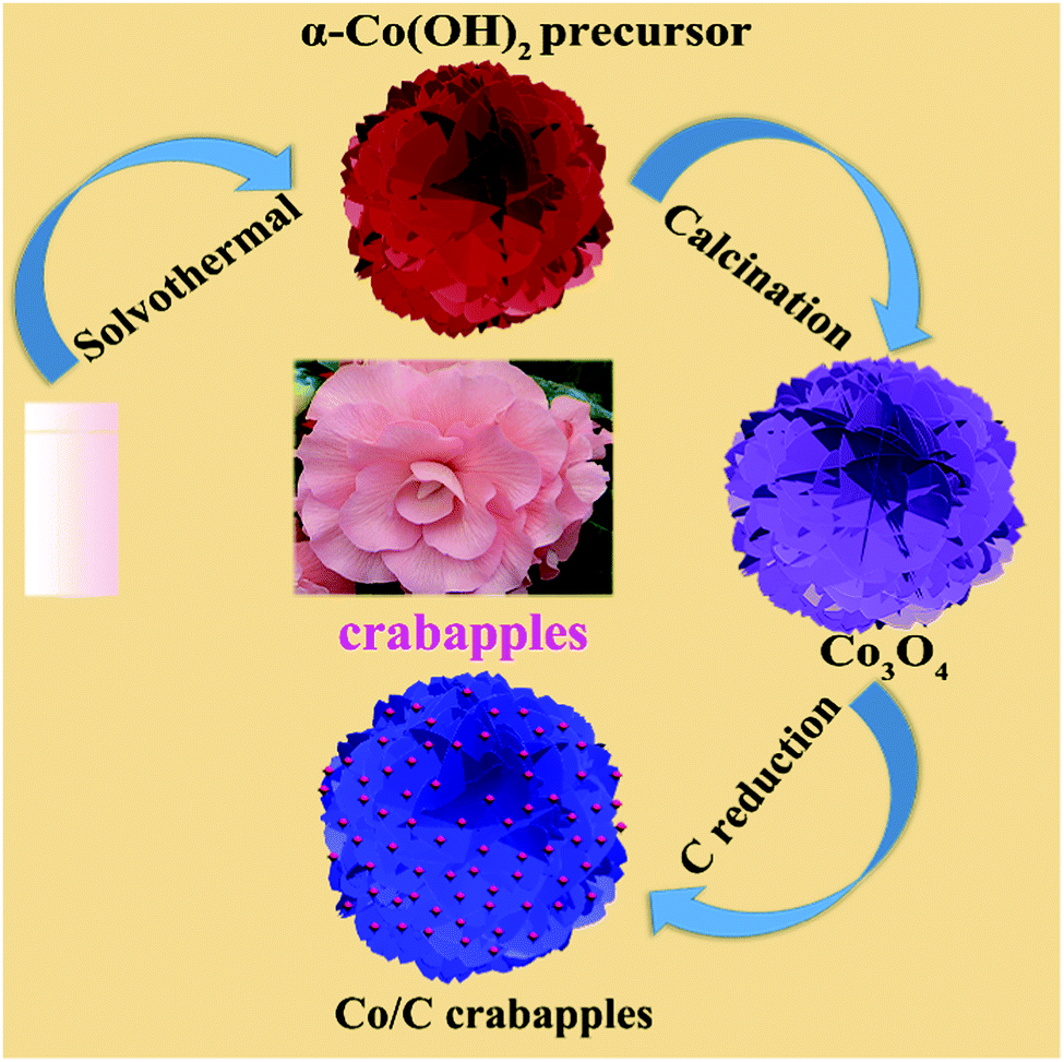 Ultrathin High Performance Electromagnetic Wave Absorbers With Facilely Fabricated Hierarchical Porous Co C Crabapples Journal Of Materials Chemistry C Rsc Publishing