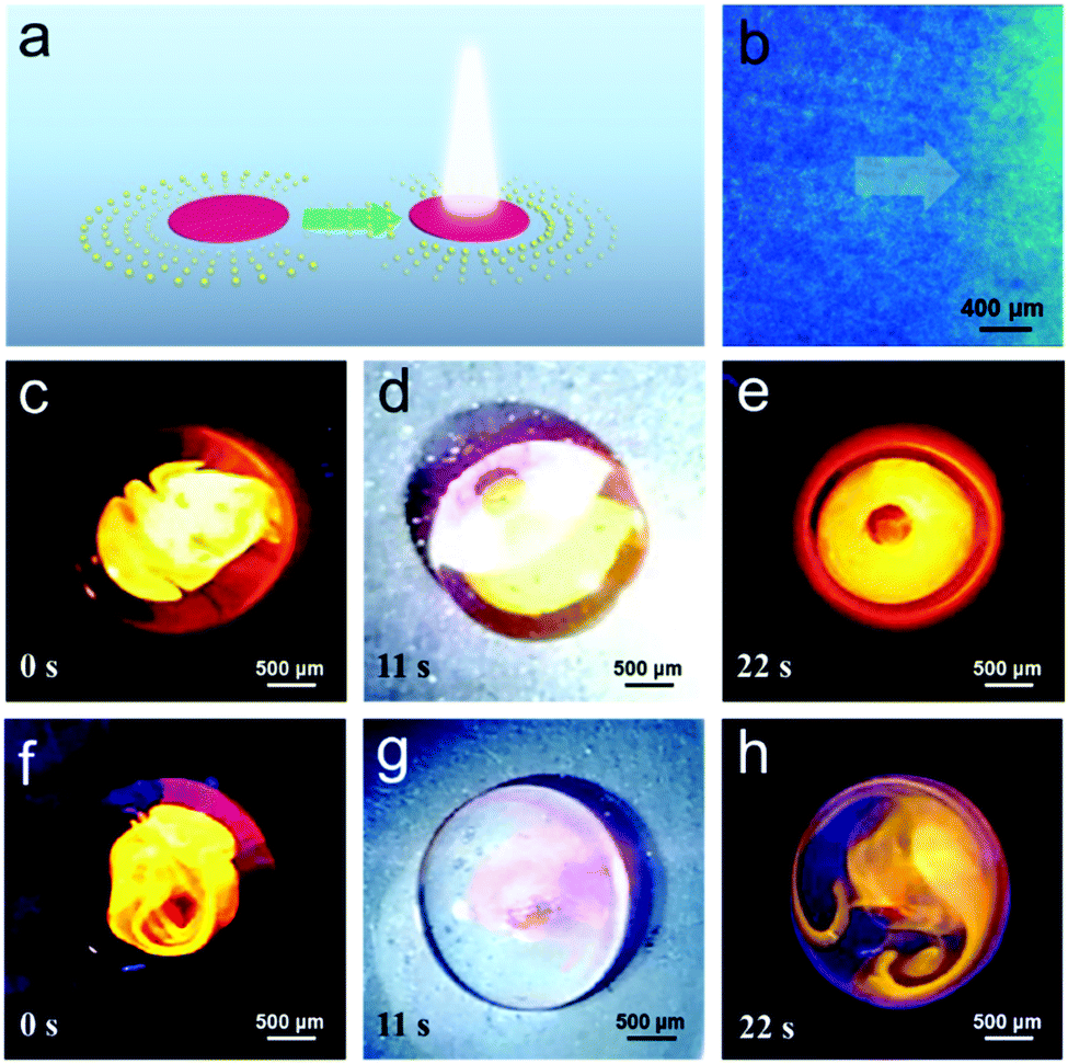 A fuel-free polymer-based micropump with optically tunable pumping ...
