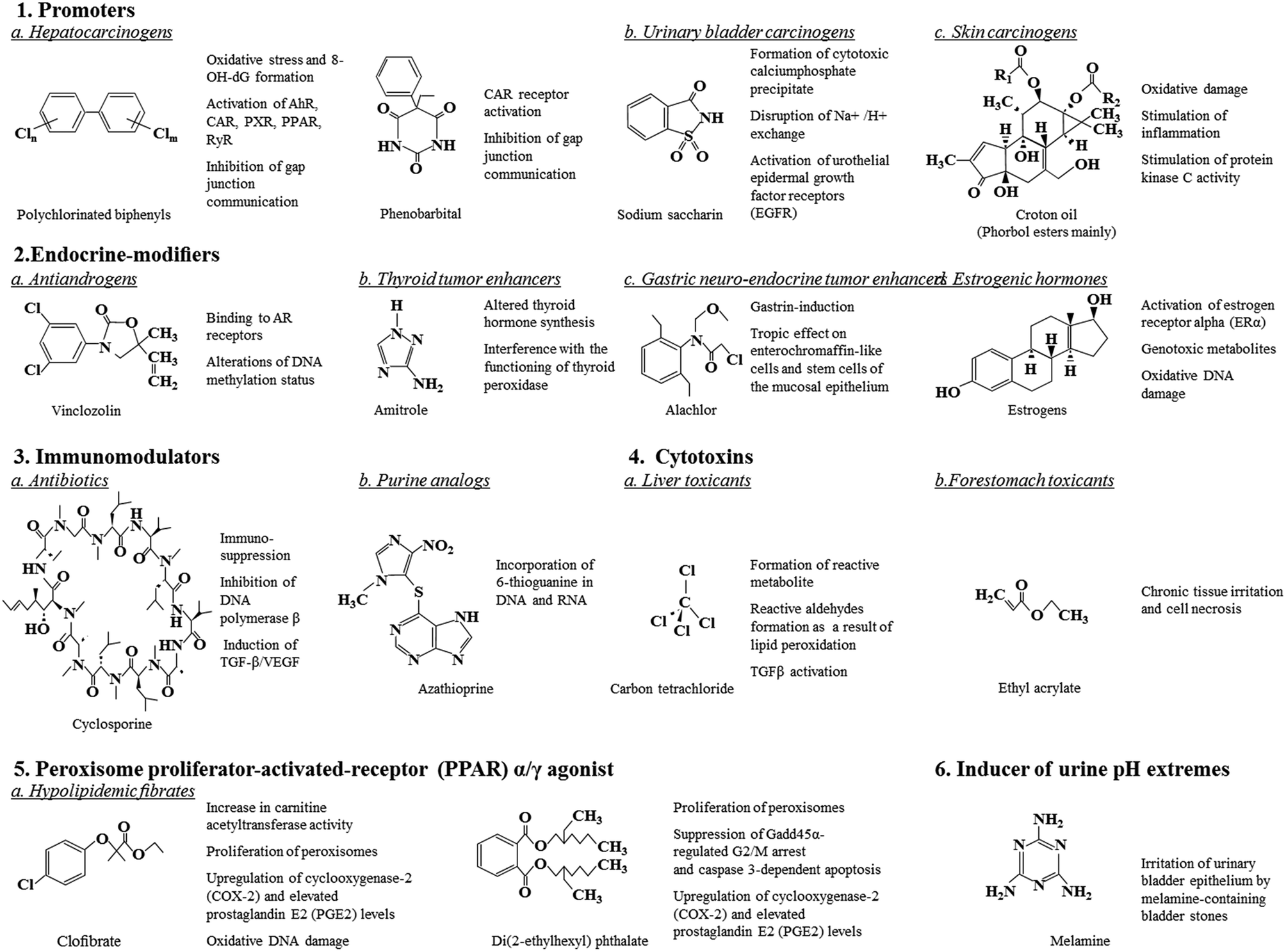 4 Carcinogens