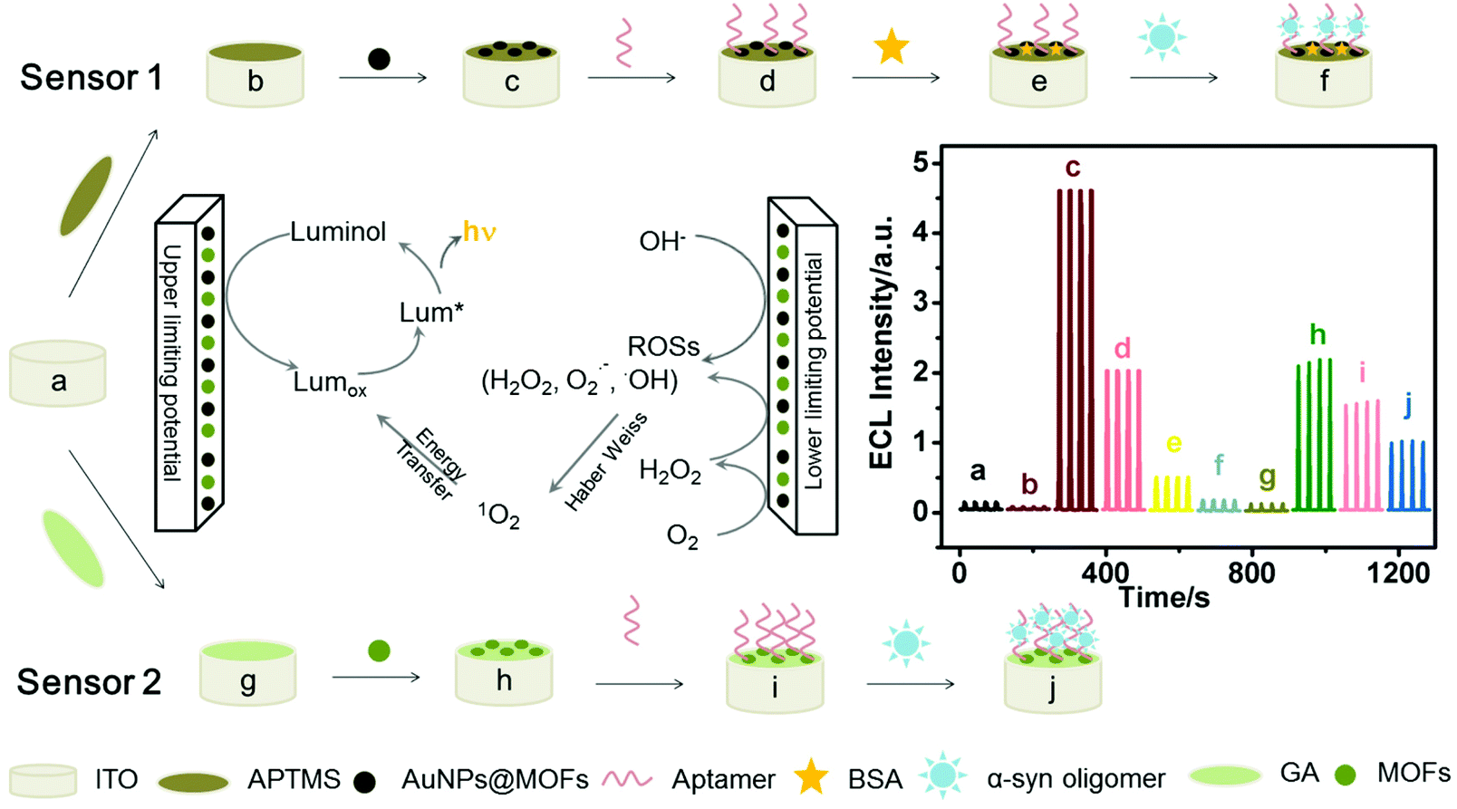 Electrochemiluminescent aptamer-sensor for alpha synuclein oligomer based  on a metal–organic framework - Analyst (RSC Publishing)  DOI:10.1039/D0AN00169D