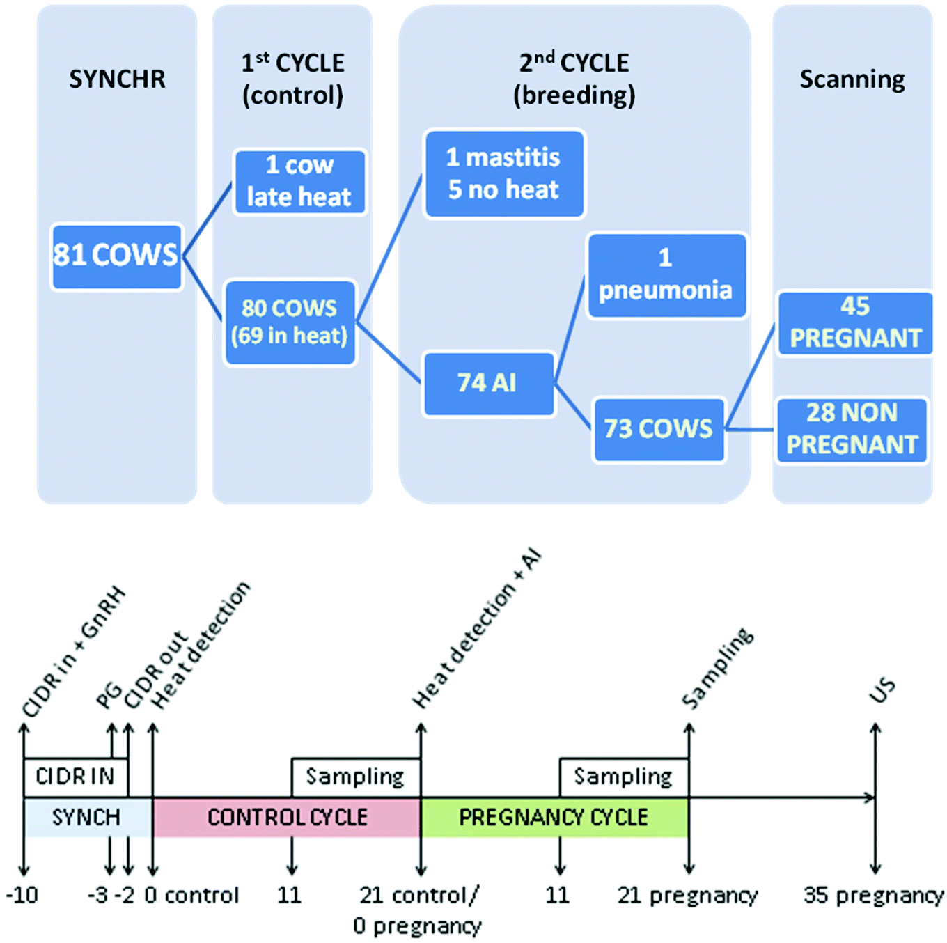 Electrochemical Assay Of Sorbitol Dehydrogenase At Pedot Modified Electrodes A New Milk Biomarker For Confirmation Of Pregnancy In Dairy Cattle Analyst Rsc Publishing Doi 10 1039 D0an01360a