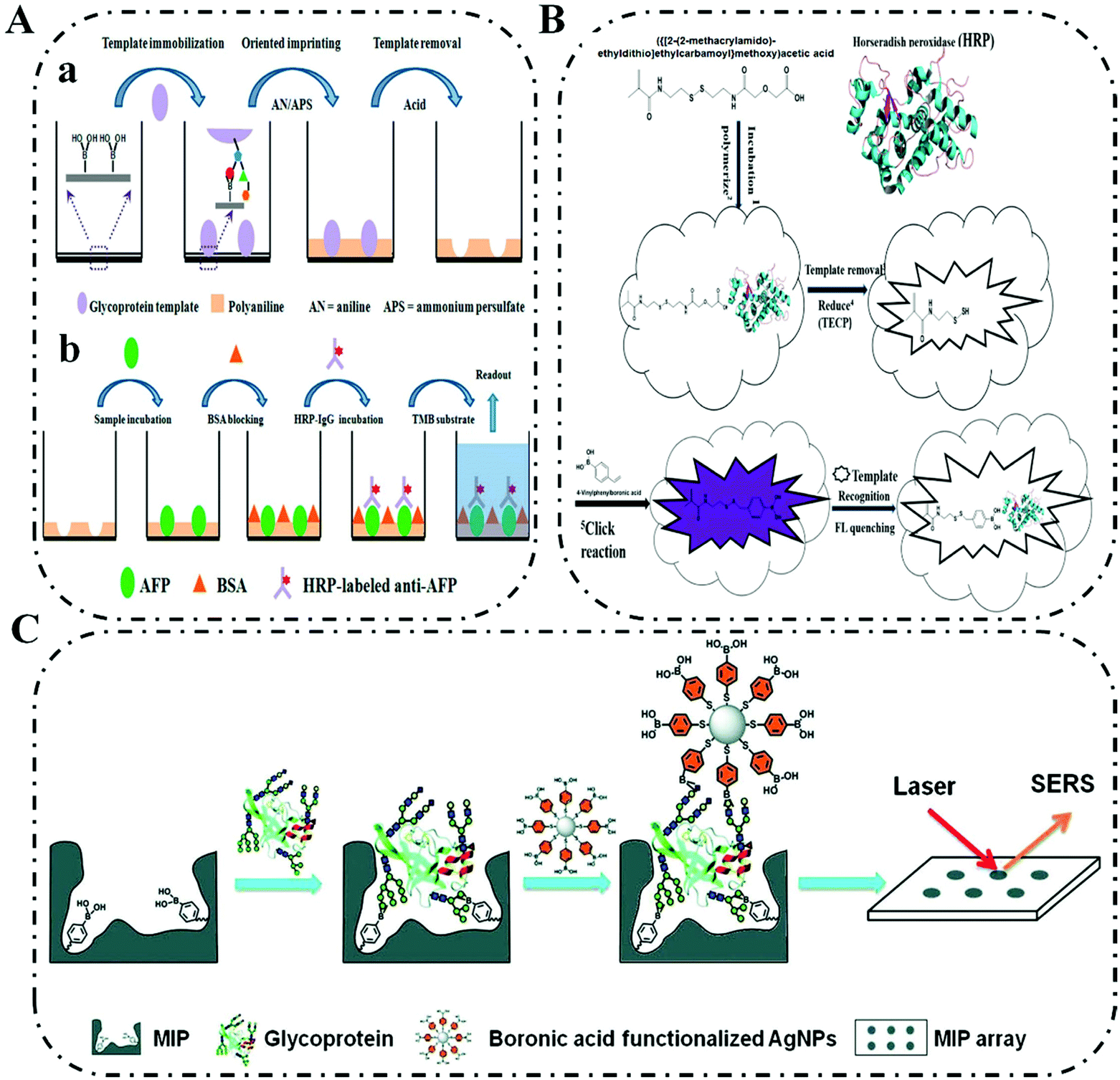 Boronate affinity material based sensors for recognition and