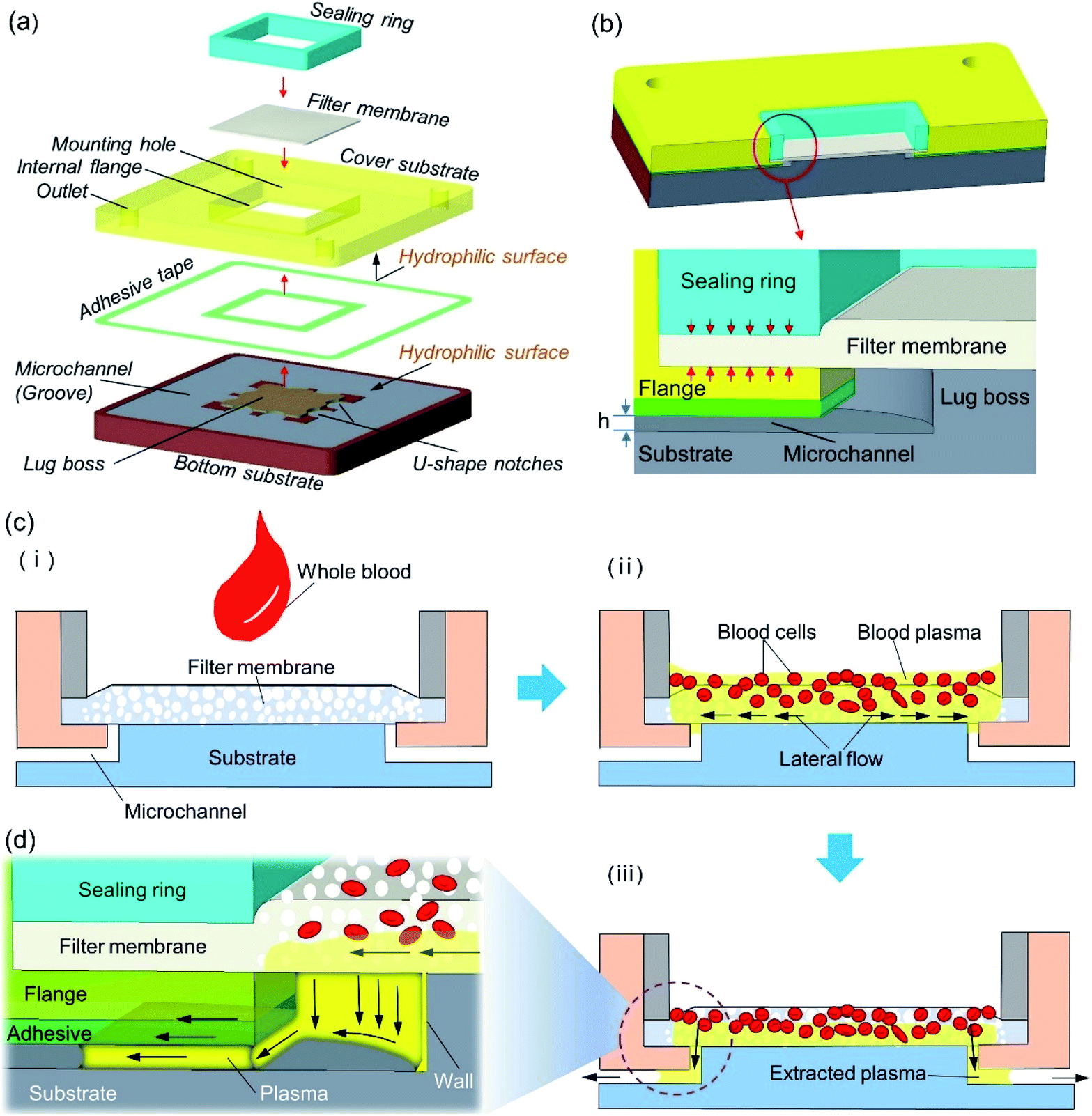 A Simple And Rapid Method For Blood Plasma Separation Driven By Capillary Force With An Application In Protein Detection Analytical Methods Rsc Publishing Doi 10 1039 D0ayb