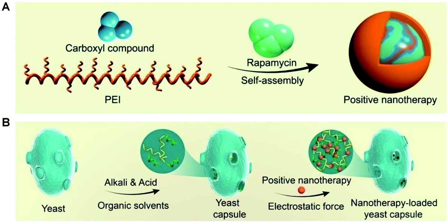 Biomimetic And Bioinspired Strategies For Oral Drug Delivery Biomaterials Science Rsc Publishing Doi 10 1039 C9bmd