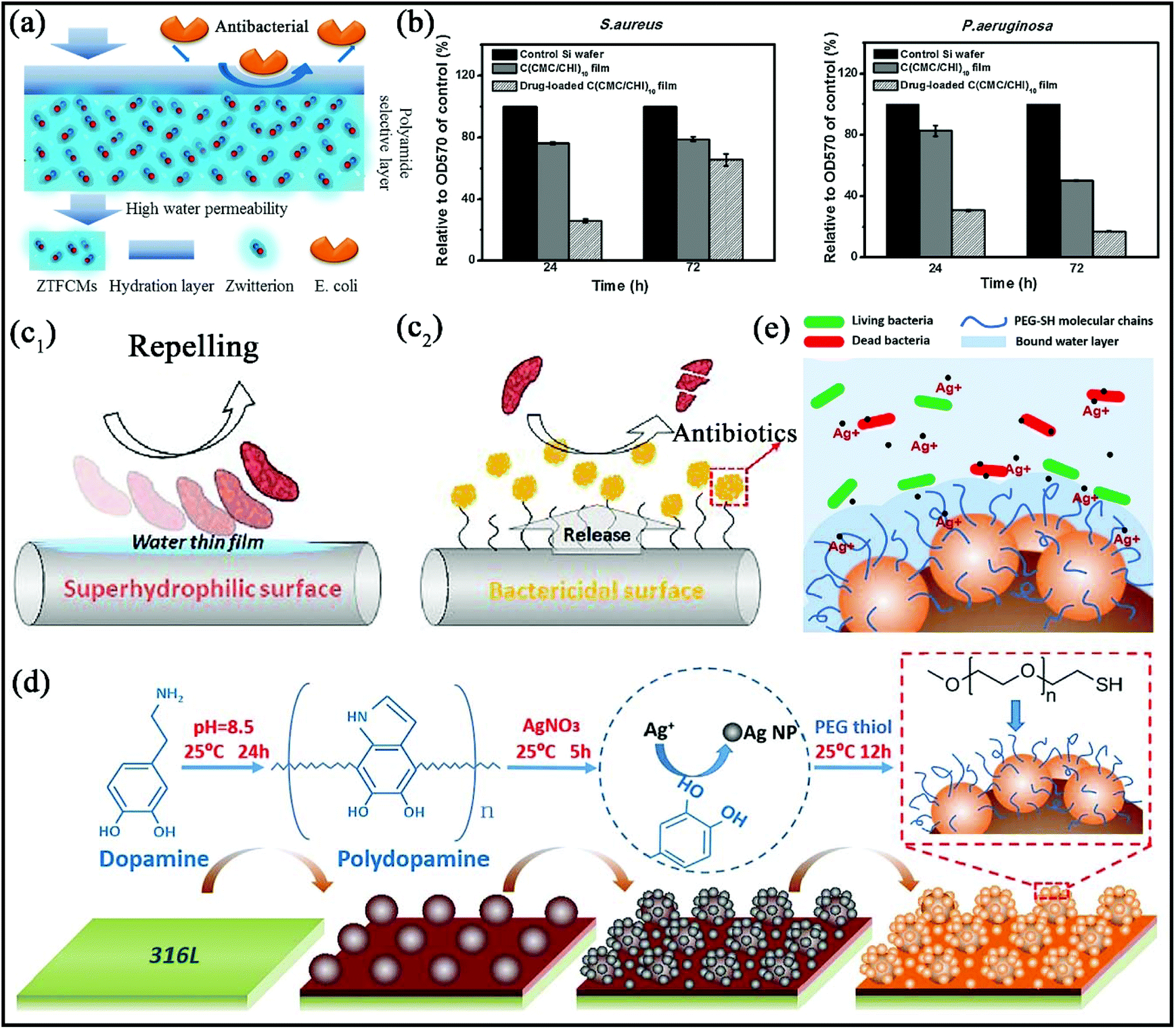 Lubricant-Infused Surfaces with Built-In Functional Biomolecules