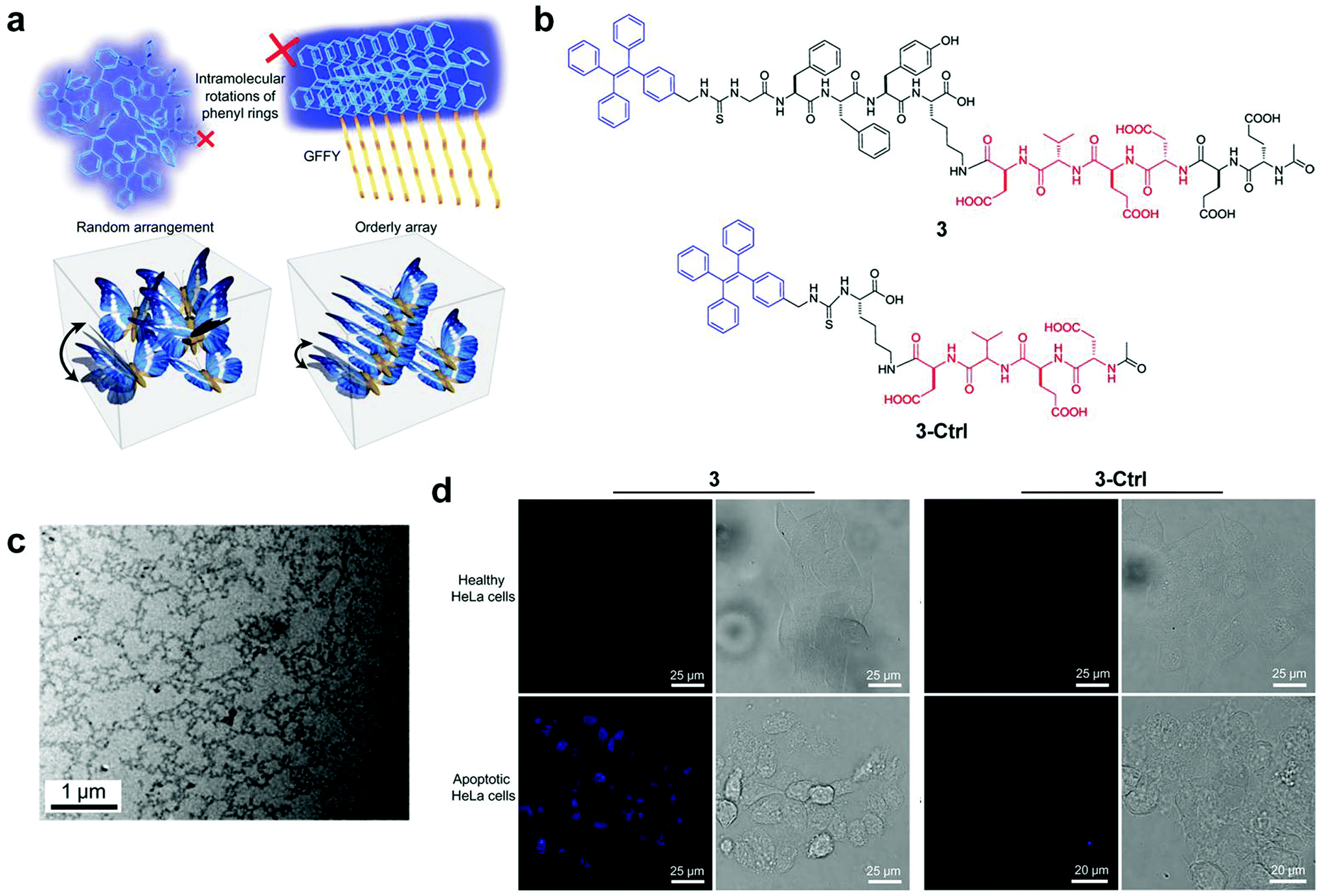 Peptidebased supramolecular hydrogels for bioimaging applications