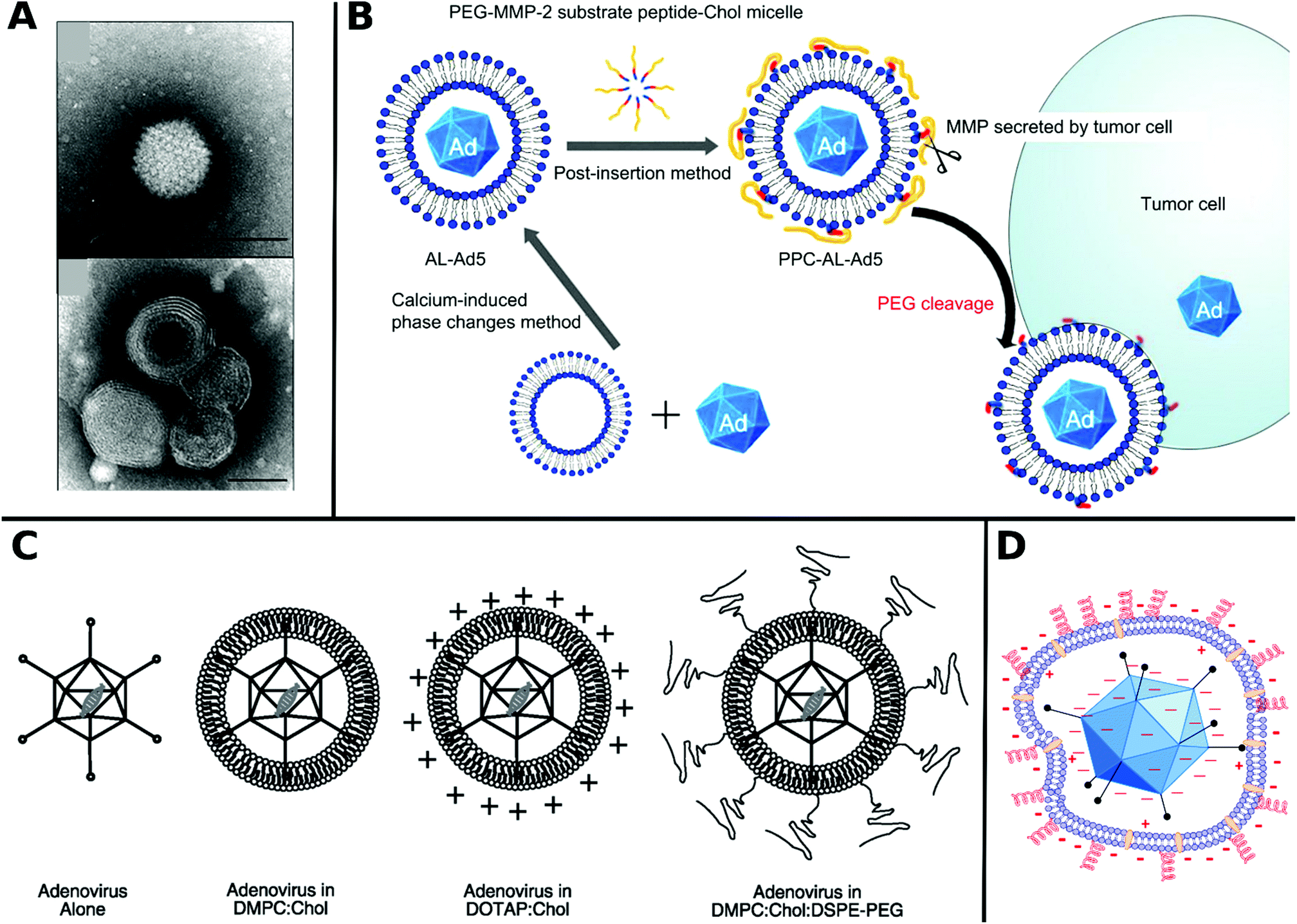 Materials promoting viral gene delivery - Biomaterials Science 