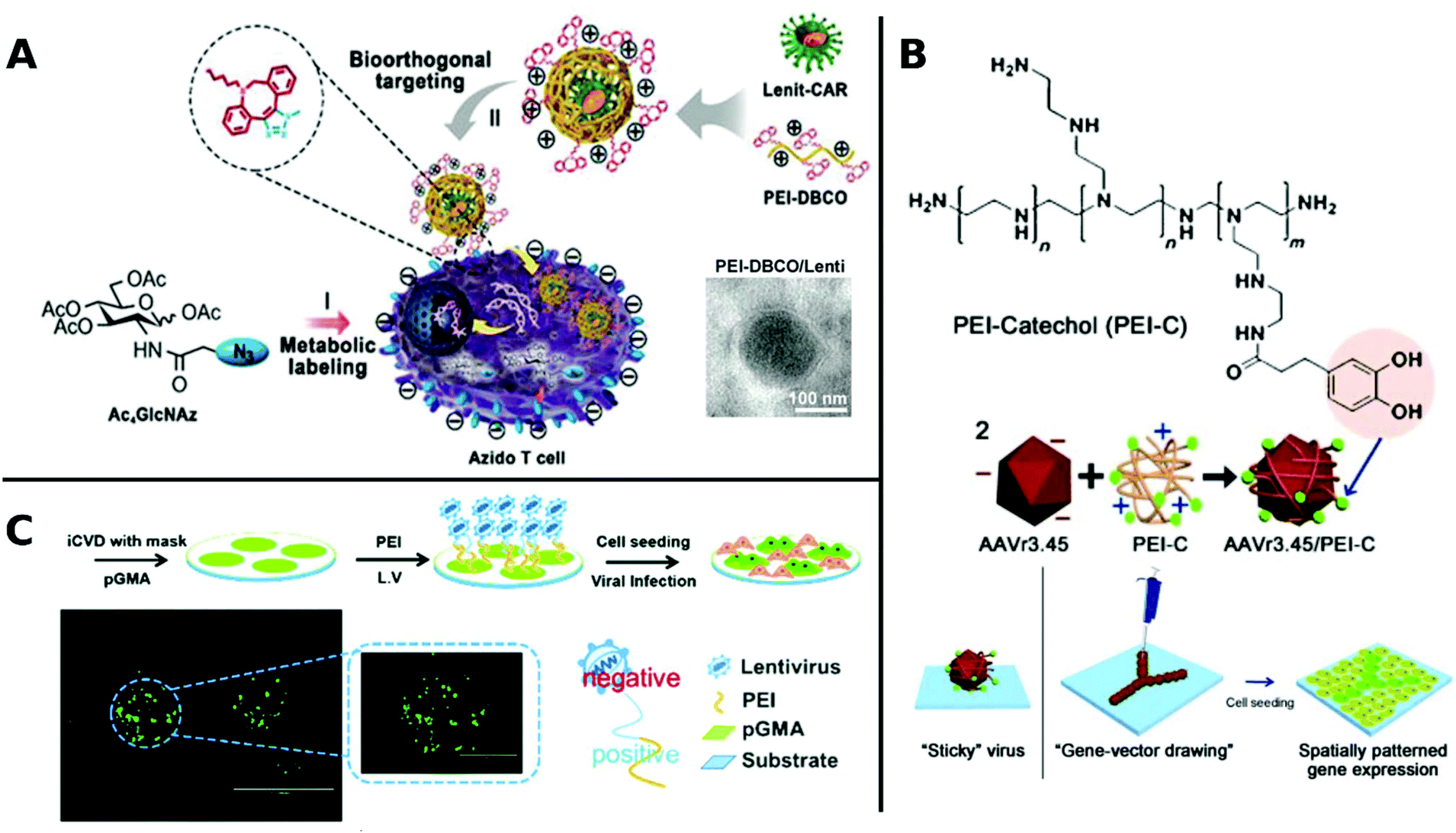 Materials Promoting Viral Gene Delivery Biomaterials Science Rsc Publishing Doi 10 1039 D0bmf