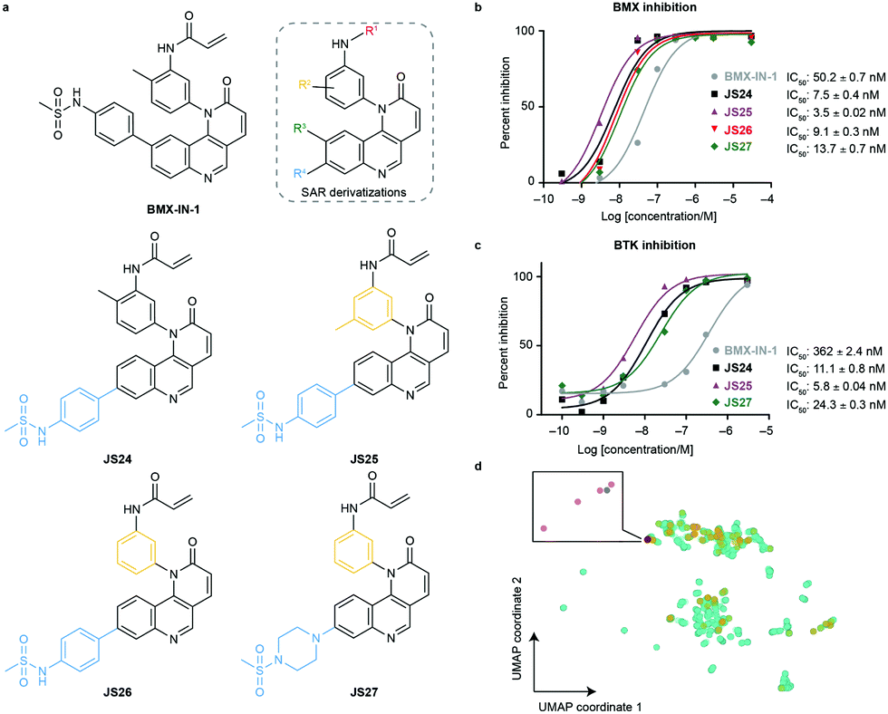 Relative Selectivity of Covalent Inhibitors Requires Assessment of  Inactivation Kinetics and Cellular Occupancy: A Case Study of Ibrutinib and  Acalabrutinib