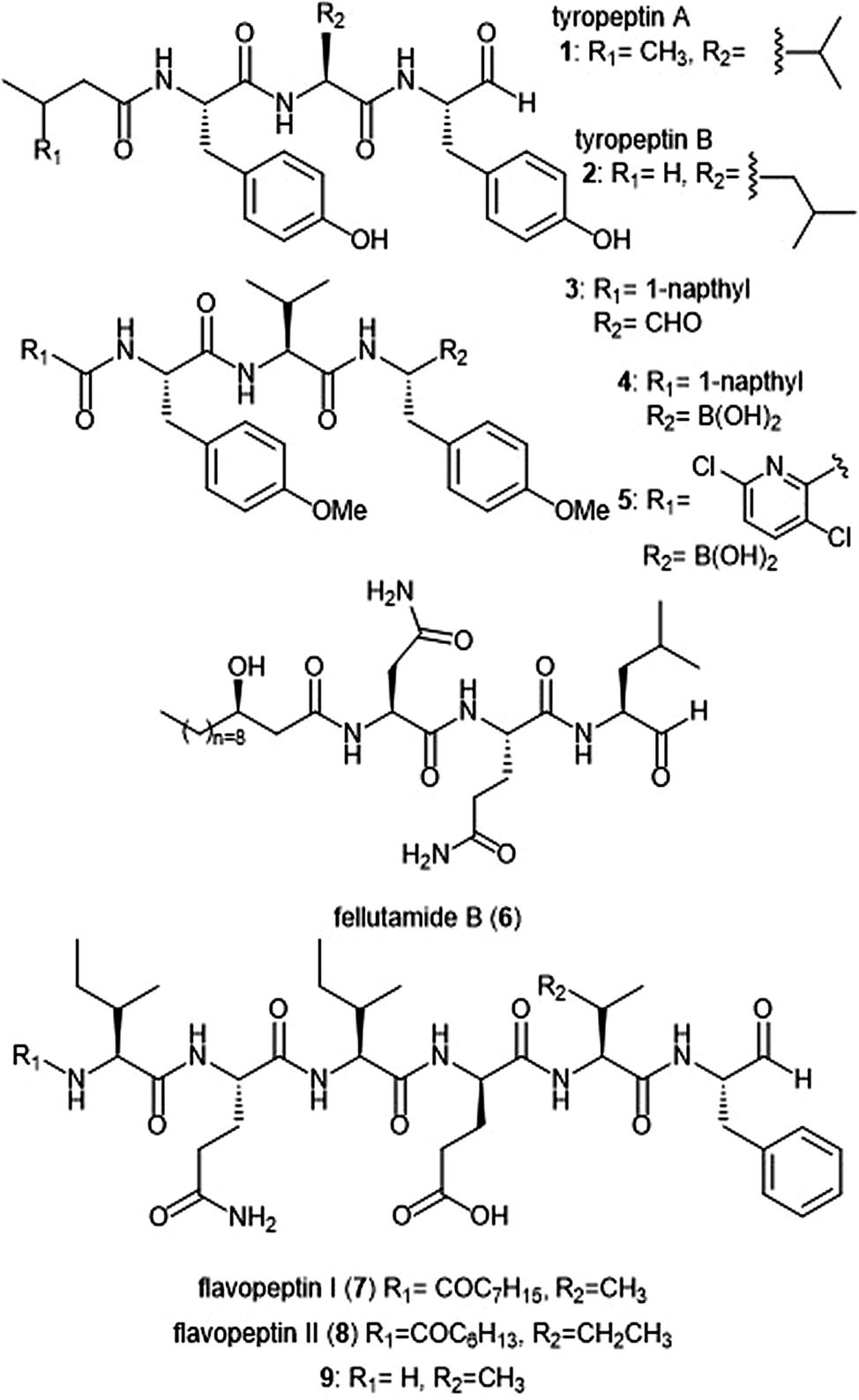 Natural Product Scaffolds As Inspiration For The Design And Synthesis Of s Human Proteasome Inhibitors Rsc Chemical Biology Rsc Publishing Doi 10 1039 D0cbb