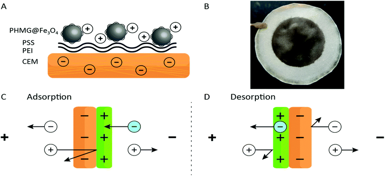 image file: c9cc09563b-f1.tif
