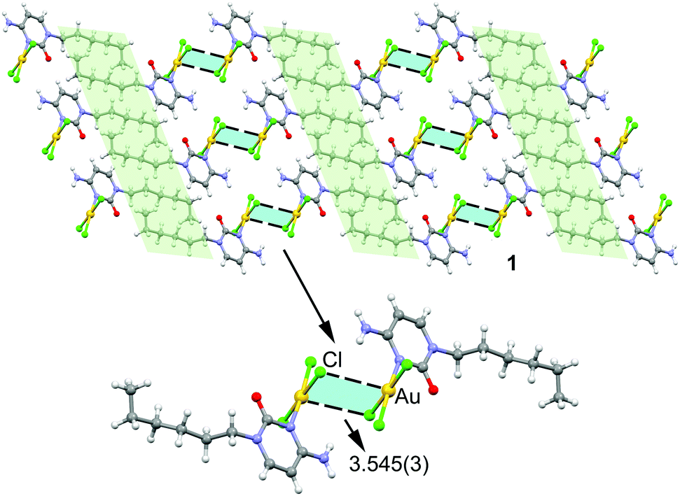 Synthesis X Ray Characterization And Regium Bonding Interactions Of A Trichlorido 1 Hexylcytosine Gold Iii Complex Chemical Communications Rsc Publishing Doi 10 1039 D0ccc