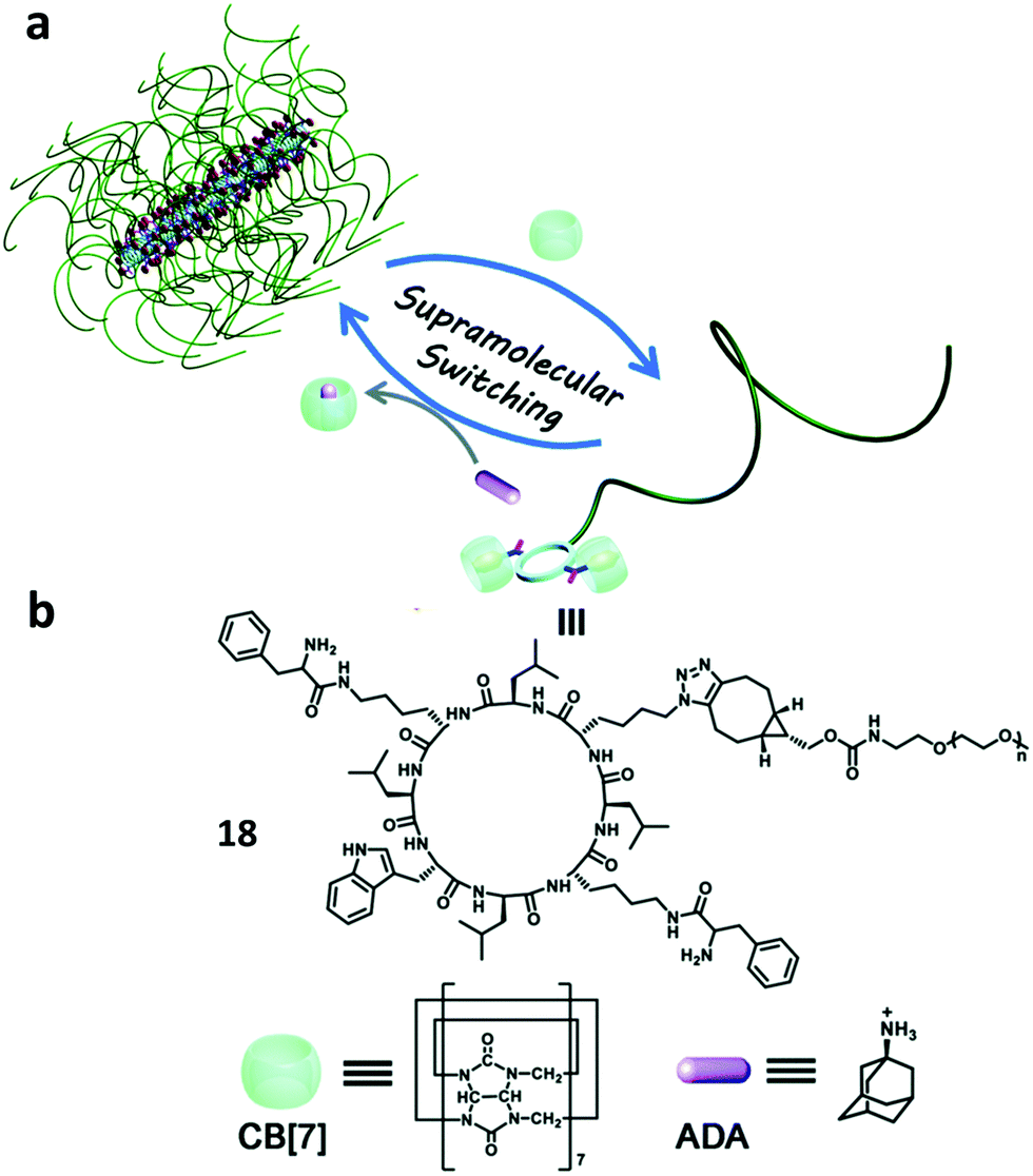 Supramolecular Polymer Bottlebrushes Chemical Communications Rsc Publishing Doi 10 1039 D0cc01202e